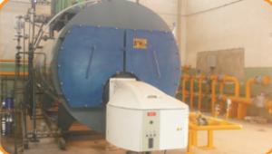 燃?xì)馊济洪_水爐