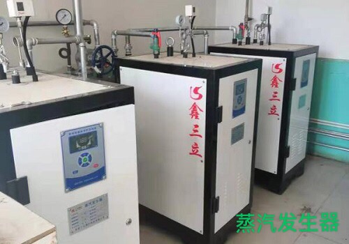 燃?xì)庹羝l(fā)生器價(jià)格